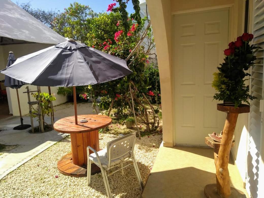 Balanca Studios Puerto Morelos Exteriér fotografie